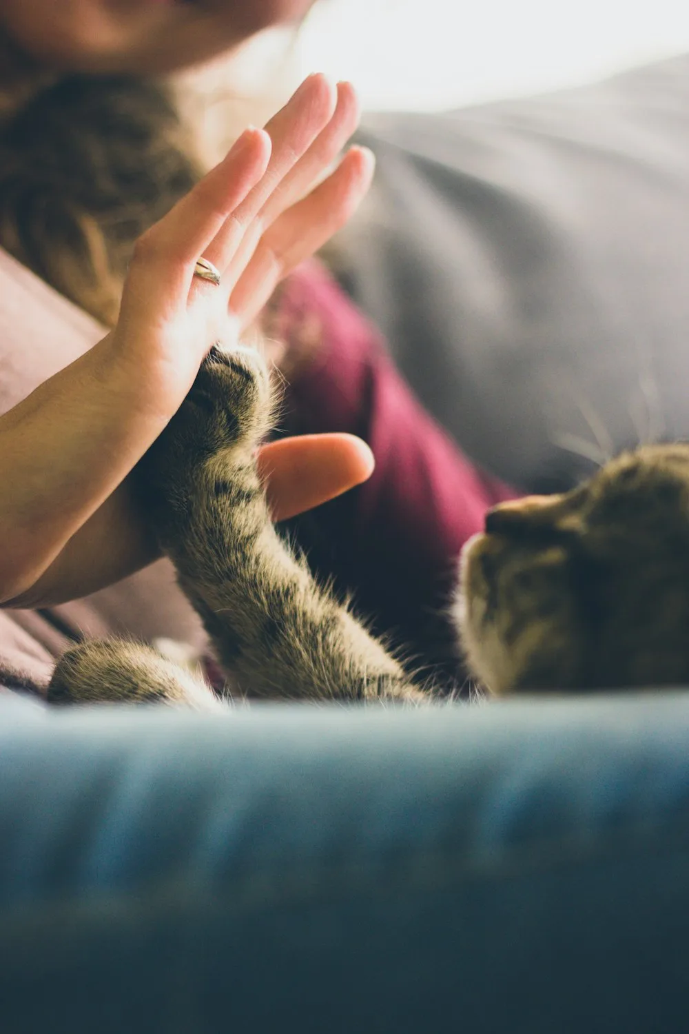 Gentle hands during a health check
