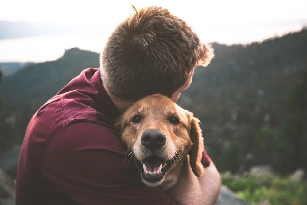 A caretaker hugging a rescued dog