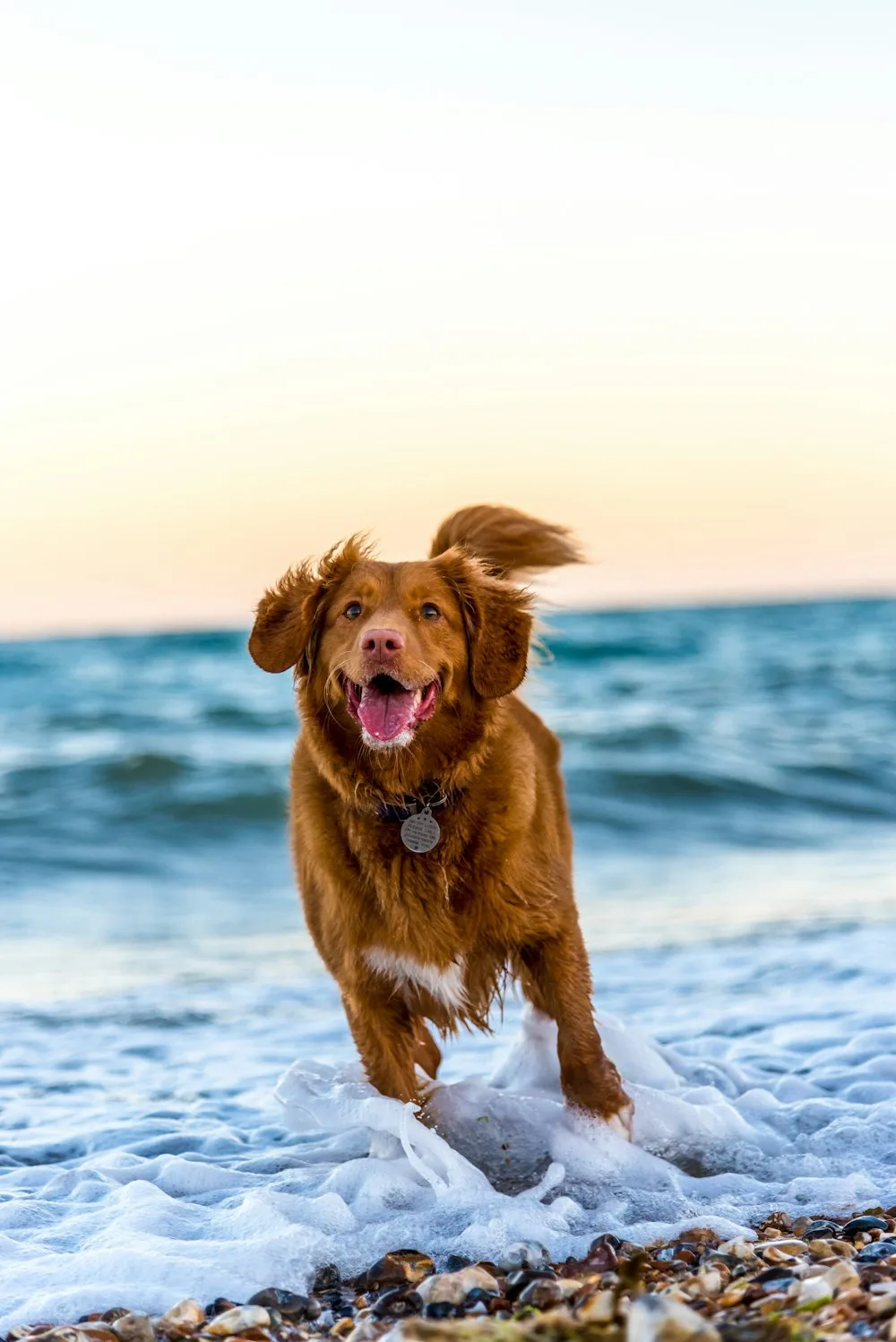 Free to run again