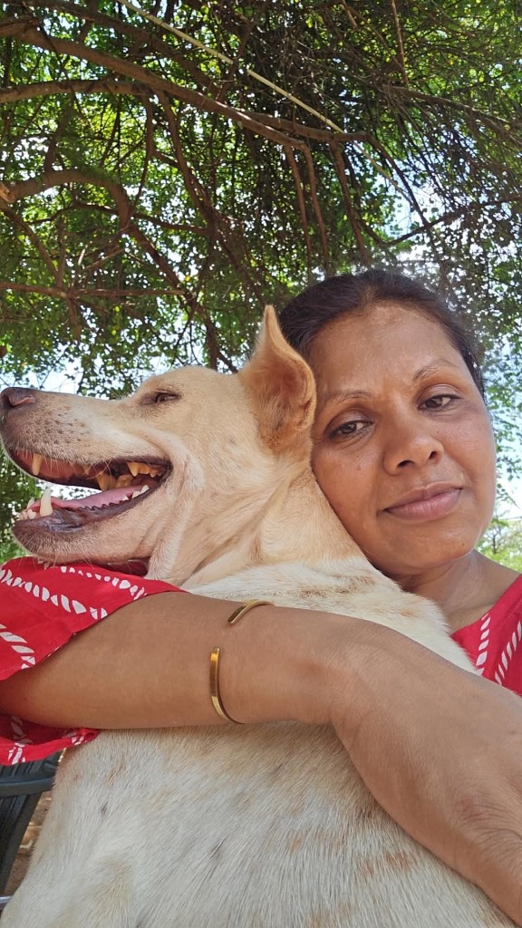 Vella: Abandoned for Foreign Breeds, Now Living Free